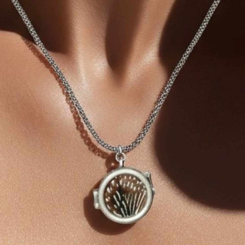 Butterfly Wings Locket Necklace Large #N11